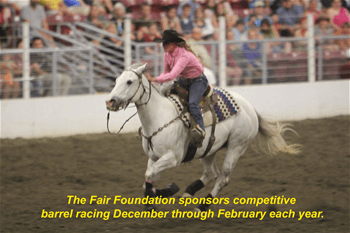 Barrell Racer Description