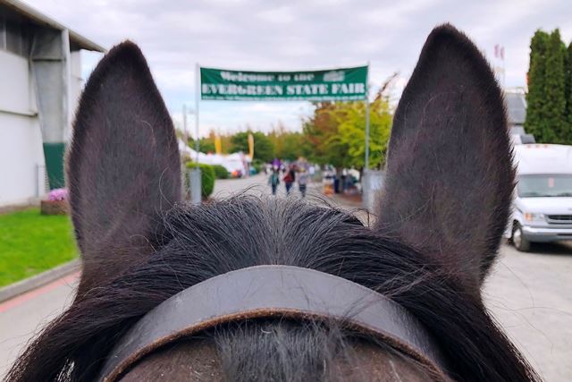 Evergreen State Fair 2018