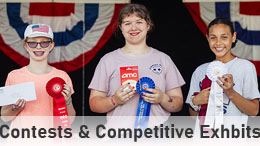 Webtitile_FairContest _ Comp Ex