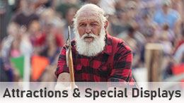 Entertainment WebtilesAttractions 