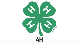 4H