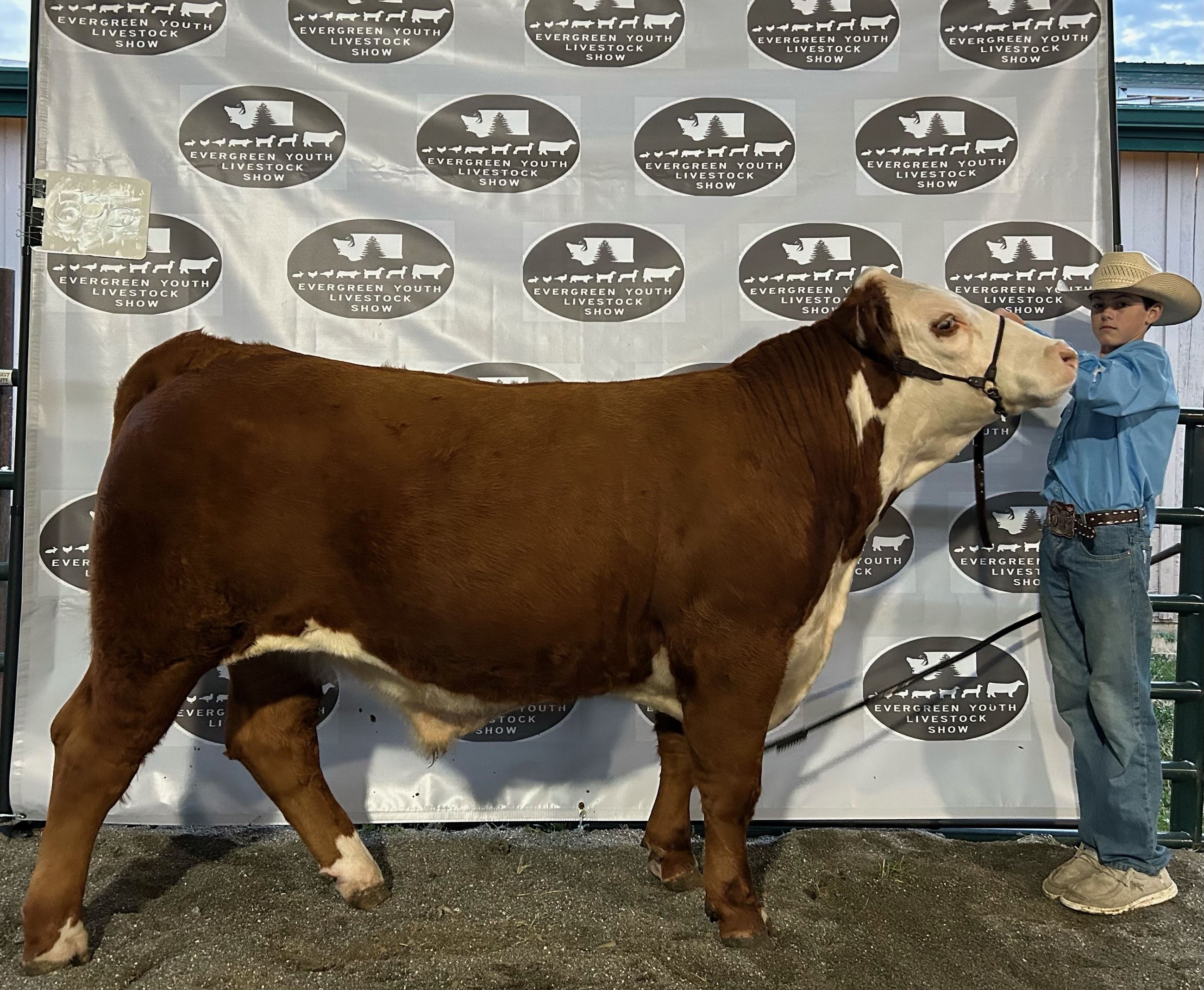 180822 Dave (42 of 272)