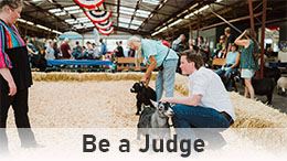 Click to get information on being a judge at the Evergreen State Fair